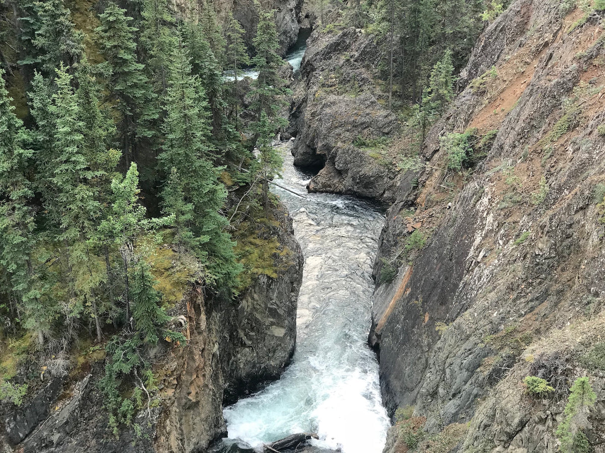 Placer Claims for Sale BC Tagged "Trout Creek"