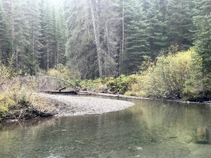 Kettle River BC Gold Panning Claim