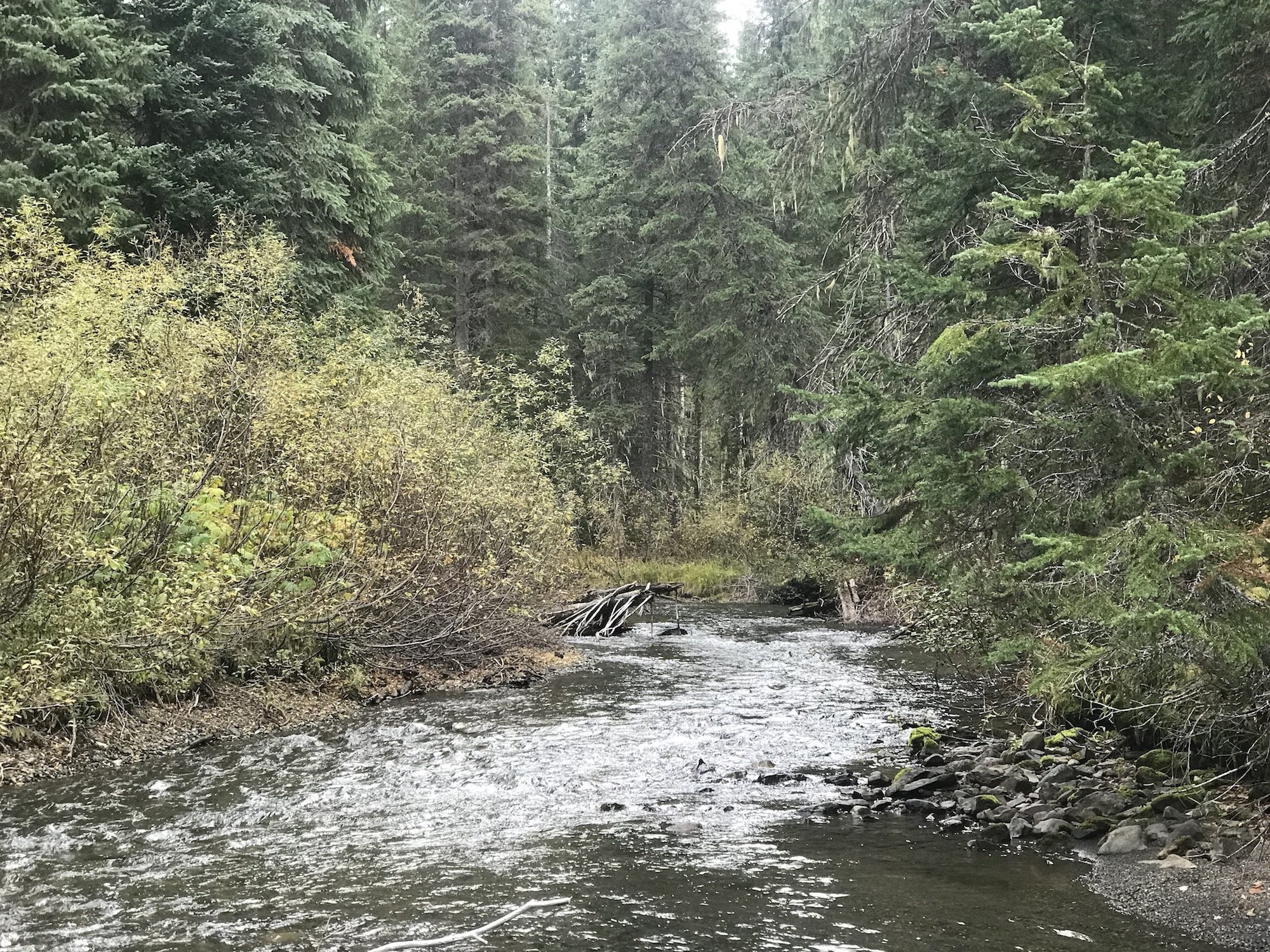 Kettle River BC Gold Mining Claim