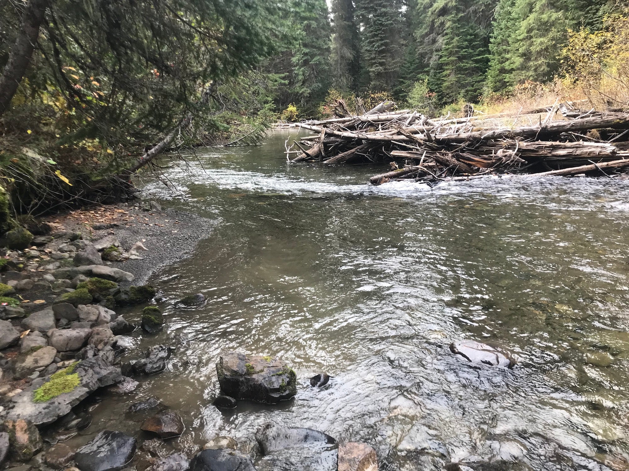 Kettle River Gold Claim For Sale