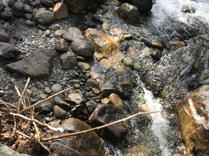 Cadwallader Creek BC Gold Panning Claim
