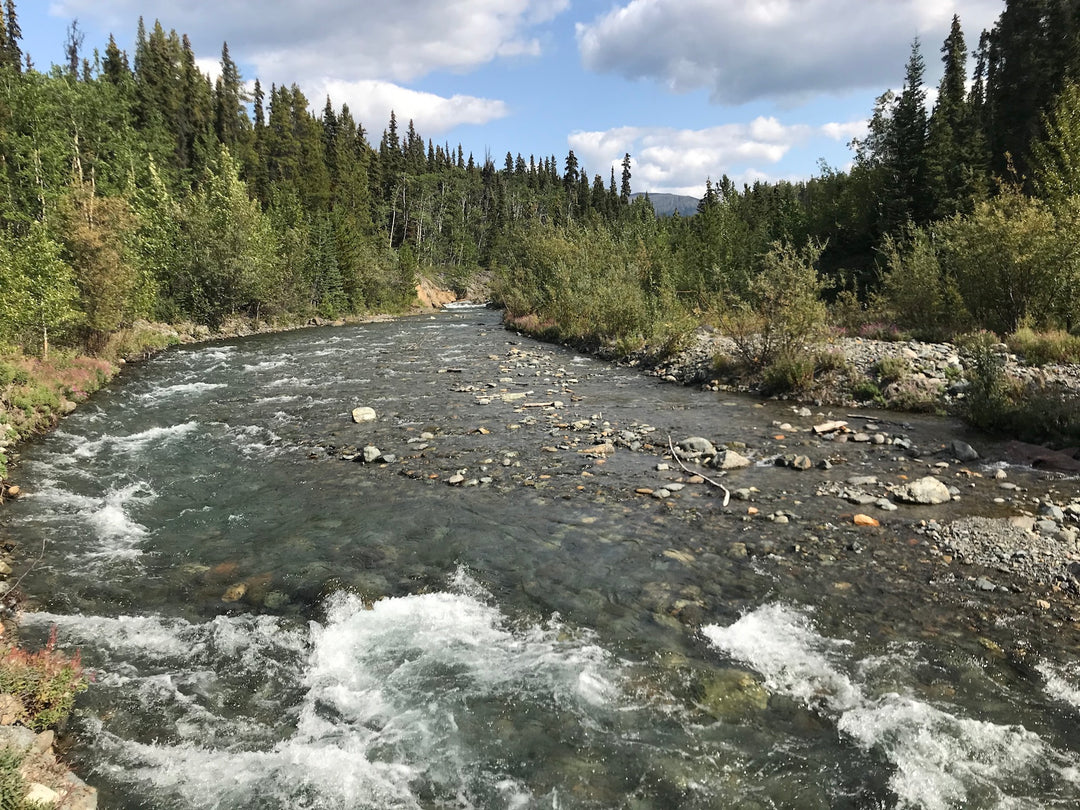 Pine Creek Atlin BC Gold Claim For Sale