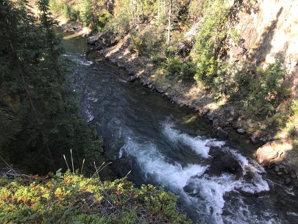 Pine Creek BC Gold Claim For Sale