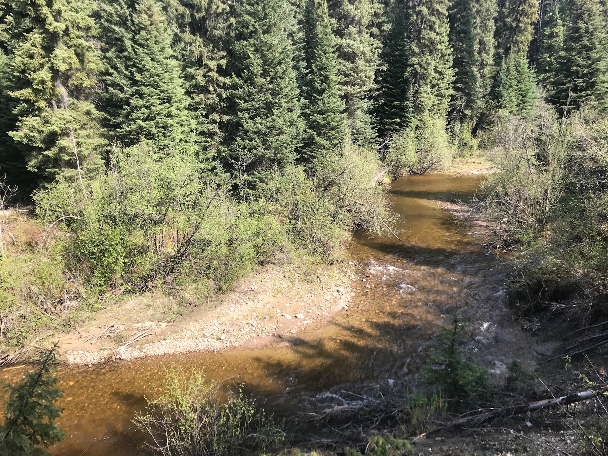 Umiti Creek BC Gold Claim For Sale
