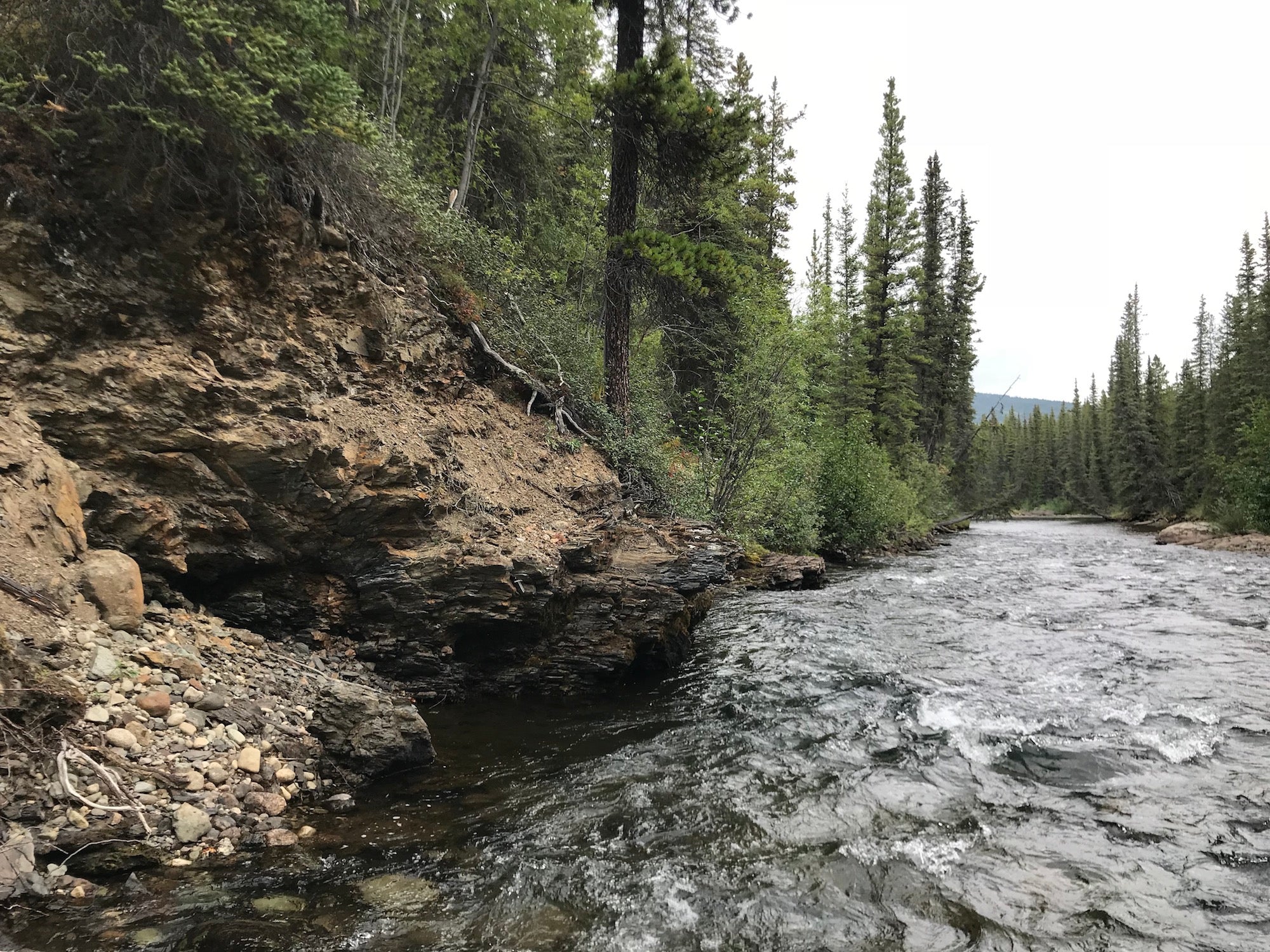 McDame Creek Placer Claim for Sale