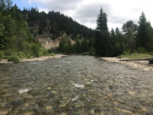 BC Placer Claim For Sale - Gravel bars on the Similkameen River