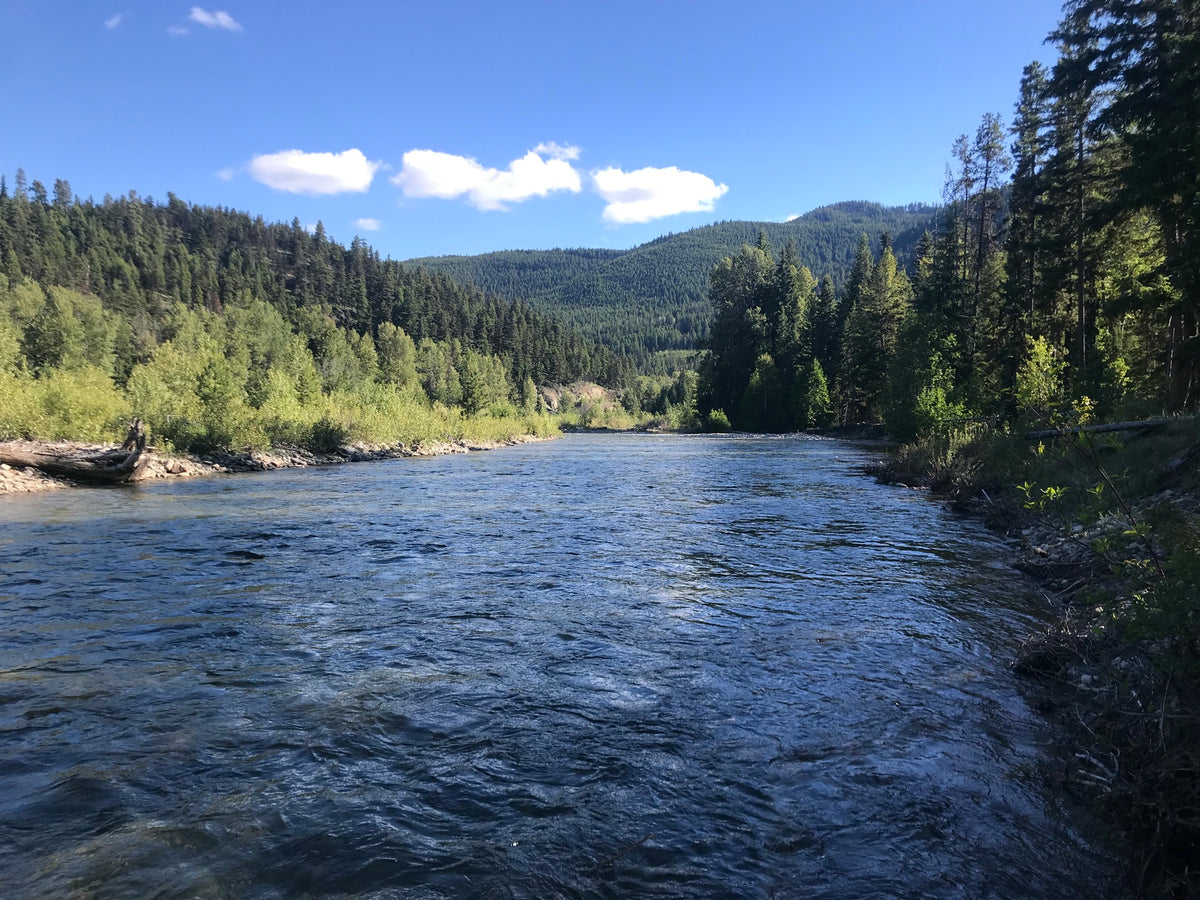 Tulameen River - Gold Bar - BC Gold Claim For Sale | ClaimStakes.com