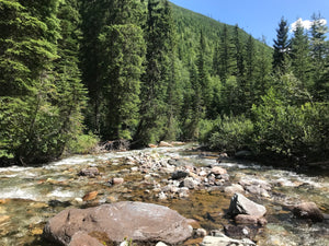 Wildhorse River BC Gold Claim For Sale