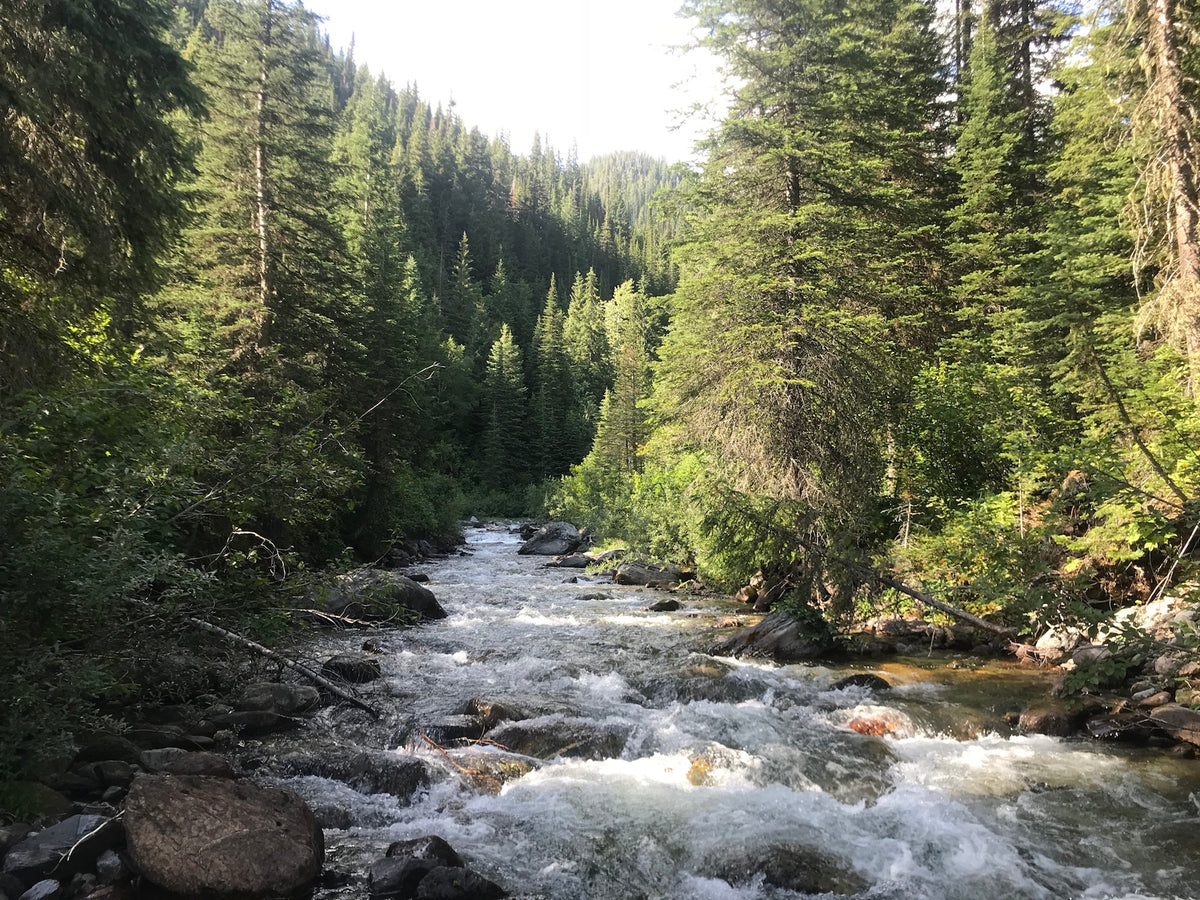 Wildhorse River - Cranbrook - BC Gold Claim For Sale | ClaimStakes.com