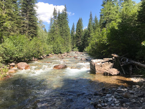 Wildhorse River Placer Claim For Sale